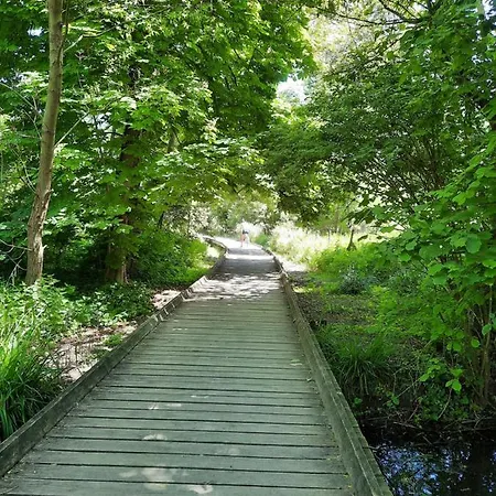 L'ile Des Prevots * Crosne