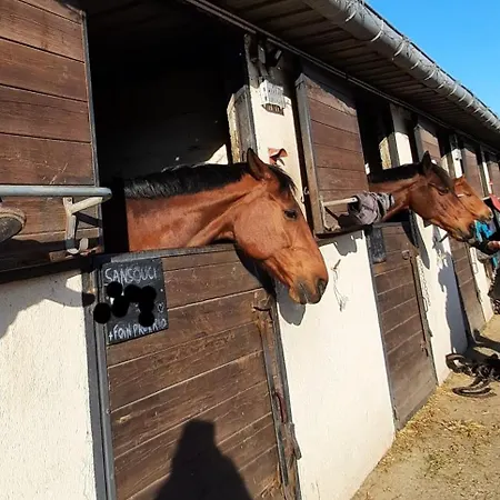 Apartamento L'ile Des Prevots